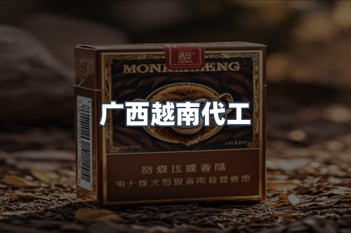 广西越南代工